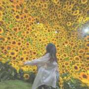 ヒメ日記 2025/07/20 11:57 投稿 瀬川 ひなの LIMIT BREAK 錦糸町