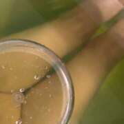 ヒメ日記 2025/05/07 22:04 投稿 らん 錦糸町ミセスアロマ（ユメオト）