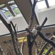 ヒメ日記 2025/10/18 17:44 投稿 らん 錦糸町ミセスアロマ（ユメオト）