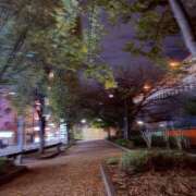 ヒメ日記 2025/11/05 11:53 投稿 らん 錦糸町ミセスアロマ（ユメオト）