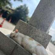 らん 11月25日お礼日記💌＆本日出勤 錦糸町ミセスアロマ（ユメオト）