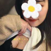 ヒメ日記 2026/02/12 16:58 投稿 らん 錦糸町ミセスアロマ（ユメオト）