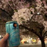 ヒメ日記 2026/04/08 13:17 投稿 らん 錦糸町ミセスアロマ（ユメオト）