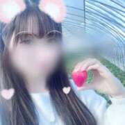 ヒメ日記 2025/04/24 09:36 投稿 ここあ モアグループ小山人妻花壇