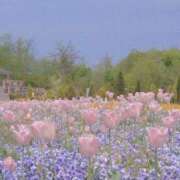 ヒメ日記 2025/05/15 20:49 投稿 里々愛-りりあ【FG系列】 ほんとうの人妻 厚木店【FG系列】