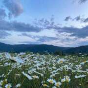 ヒメ日記 2025/07/25 16:22 投稿 里々愛-りりあ【FG系列】 ほんとうの人妻 厚木店【FG系列】