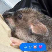 ヒメ日記 2025/08/12 07:12 投稿 塚原(つかはら) 八王子人妻城