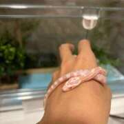 ヒメ日記 2025/04/26 14:12 投稿 ゆうり 奴隷コレクション梅田店