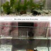 ヒメ日記 2025/05/14 02:38 投稿 ゆうり 奴隷コレクション梅田店