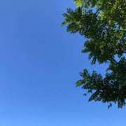 ヒメ日記 2025/05/03 17:08 投稿 マユミ秘書 秘書の品格 クラブアッシュ ヴァリエ