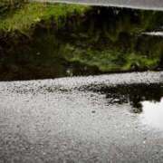 ヒメ日記 2025/05/24 17:13 投稿 マユミ秘書 秘書の品格 クラブアッシュ ヴァリエ