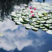 ヒメ日記 2025/07/27 20:39 投稿 みなみ シネマ