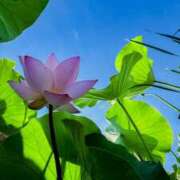 ヒメ日記 2025/07/29 05:47 投稿 みなみ シネマ