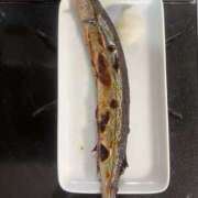 ヒメ日記 2025/08/24 03:17 投稿 みなみ シネマ