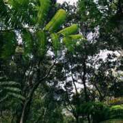 ヒメ日記 2025/08/27 11:37 投稿 みなみ シネマ