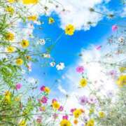 ヒメ日記 2025/09/11 07:52 投稿 みなみ シネマ