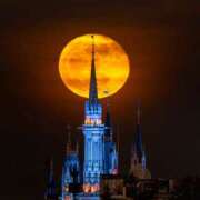 ヒメ日記 2025/09/17 12:00 投稿 みなみ シネマ