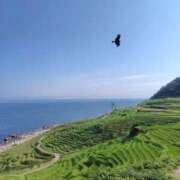 ヒメ日記 2025/09/21 14:51 投稿 みなみ シネマ