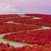 ヒメ日記 2025/10/27 07:59 投稿 みなみ シネマ