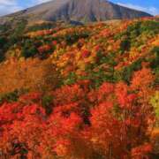 ヒメ日記 2025/10/31 13:50 投稿 みなみ シネマ