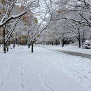 ヒメ日記 2025/11/14 07:56 投稿 みなみ シネマ