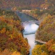 ヒメ日記 2025/12/01 16:02 投稿 みなみ シネマ