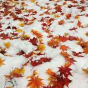 みなみ ありがとう シネマ