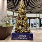 ヒメ日記 2025/12/22 08:28 投稿 みなみ シネマ