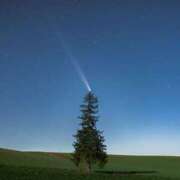 ヒメ日記 2025/12/25 09:22 投稿 みなみ シネマ