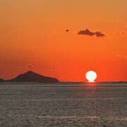 ヒメ日記 2025/12/30 17:12 投稿 みなみ シネマ