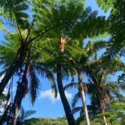 ヒメ日記 2026/01/16 08:05 投稿 みなみ シネマ