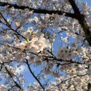ヒメ日記 2026/04/11 05:16 投稿 みなみ シネマ