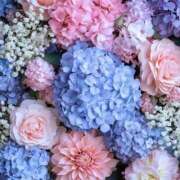 ヒメ日記 2025/05/24 21:27 投稿 胡桃 あい Canx2京都店