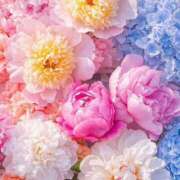 ヒメ日記 2025/06/01 08:17 投稿 胡桃 あい Canx2京都店