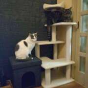 ヒメ日記 2025/04/27 17:10 投稿 桐生あい 五十路マダム エクスプレス京都店