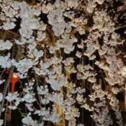 ヒメ日記 2025/04/28 19:42 投稿 桐生あい 五十路マダム エクスプレス京都店