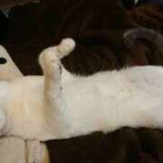 ヒメ日記 2025/08/31 21:30 投稿 桐生あい 五十路マダム エクスプレス京都店