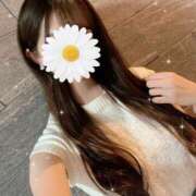 ヒメ日記 2025/09/08 14:36 投稿 椿すみれ Rêve MISTREA(レーヴ ミストレア)