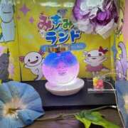 みこと キラキラ光る灯りを見ながら…✨ 久喜鷲宮ちゃんこ