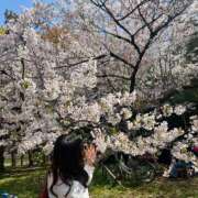 ヒメ日記 2025/04/30 17:29 投稿 収容番号：33番 非自由人躾専門店 淫姦収容所 日本橋本拠地