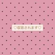 収容番号：33番 収容所💞 非自由人躾専門店 淫姦収容所 日本橋本拠地