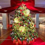 ヒメ日記 2025/11/29 13:42 投稿 華音 倶楽部 月兎