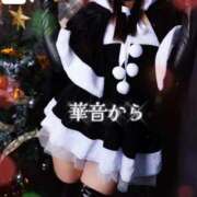 ヒメ日記 2025/12/24 15:02 投稿 華音 倶楽部 月兎