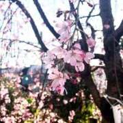 ヒメ日記 2026/03/16 20:32 投稿 華音 倶楽部 月兎