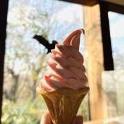 ヒメ日記 2025/06/25 08:30 投稿 みなも 錦糸町人妻セレブリティ（ユメオト）