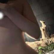 ヒメ日記 2025/07/24 08:30 投稿 みなも 錦糸町人妻セレブリティ（ユメオト）