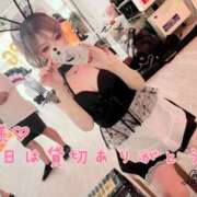 ヒメ日記 2025/09/28 02:29 投稿 Risa ワンカラット～人妻の輝き～