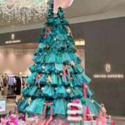 ヒメ日記 2025/11/15 13:06 投稿 Risa ワンカラット～人妻の輝き～