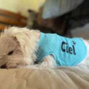 ヒメ日記 2025/05/19 08:11 投稿 あん 西船人妻花壇