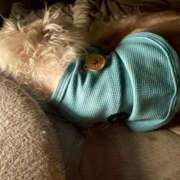 ヒメ日記 2025/06/24 19:34 投稿 あん 西船人妻花壇